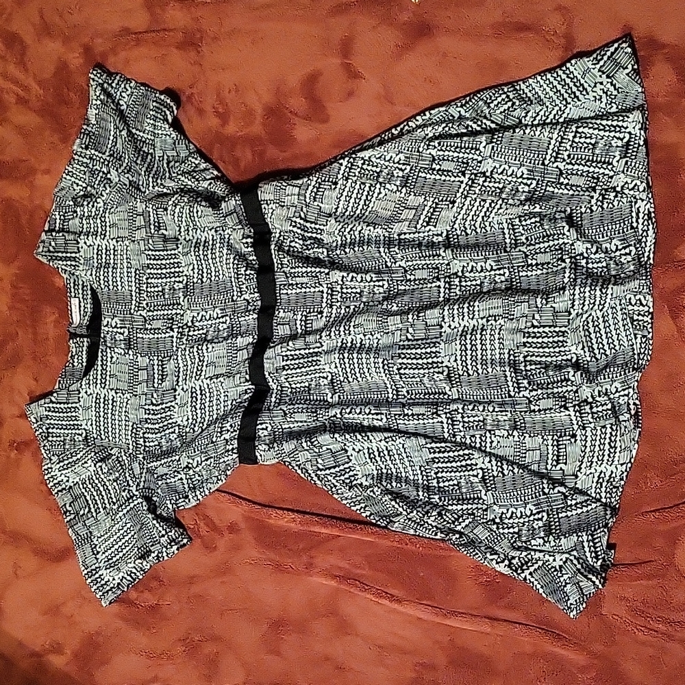 Spruce & Sage size 22 dress